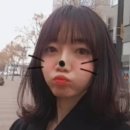 샬롱 드 마샬 네이버블로그