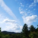 호암미술관 이미지