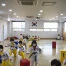 미르태권스쿨 이미지