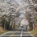 성호자동차정비 | 경기옛길 평해길 3코스 정약용길(마재옛길)