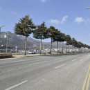 도청대로 이미지