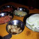 나노갈매기 이미지