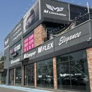 경기 특장 | 용인 갈만한곳 엠리무진 카니발 하이리무진 용인 전시장 방문 후기