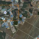 석정초교 이미지