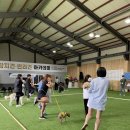 주식회사 크라우드아카데미 네이버블로그