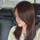 멋내기헤어샵 | 안산 고잔동 미용실 케이브라운 안산본점 | 뿌염 톤다운 커트 솔직 후기