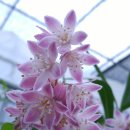 동군산로 이미지