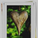 중앙카시트 이미지