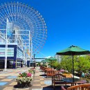 가오리 초밥전문점 | 일본 오사카 여행 일기 3편(가이유칸수족관, 동양정, 글리코상, 덴덴타운, 파블로, 회전초밥, 하루카스300)