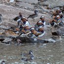 한무리문화공원 이미지