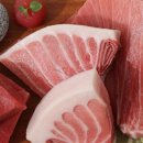 회친구참치 이미지