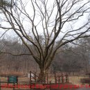 은평-026 이미지