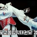 쌍용태권도 이미지