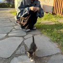 휴힐 | 제주 서귀포 독채펜션 감성숙소 [휴힐] 특별한 기념일에 감성 백만스푼 •••