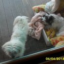 마천금계슈퍼 이미지