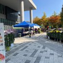 호성어린이집 이미지