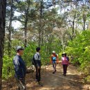 하영당구장 이미지