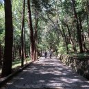 백양산 나들숲길 이미지