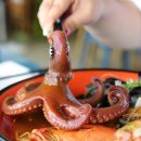 제주와함께라면