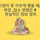 동물보육원 용인지부 이미지