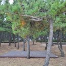 연곡사선 이미지