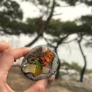 복바다김밥 이미지