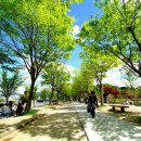 공지천 주차장 이미지