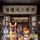 스카이개슬 이미지