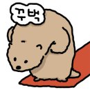하이드아웃다이닝
