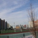 장지체육공원 족구장 이미지