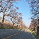 마치농장 이미지