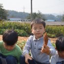 상두리마을 이미지