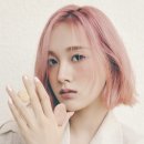 재이 스타뉴스