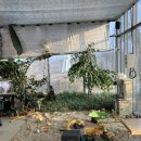 광기농장2 이미지