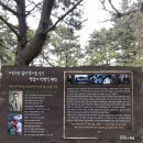 나문재법인 | 천리포수목원ㆍ안면도나문재 1박2일