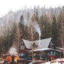 하루의 행복 이미지