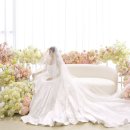 남산 | 02. 나만 알고 싶은 초신상 웨딩 베뉴, 스페이스남산 계약후기