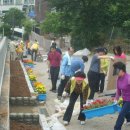 팔용산 체육공원 부울경뉴스