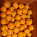 민우네농장 이미지