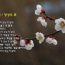 매화의 추억/양성우 시, 한지영 작곡/테너 이영화 &amp; photo by 임종근 이미지