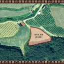 소로리 농장 이미지