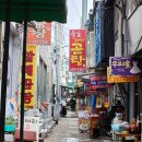 죽도시장 이미지