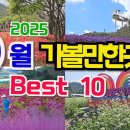 놓쳐서는 안될 9월 국내추천여행지 베스트10, 9월 가볼만한곳, 9월 국내여행지추천, 9월 갈만한곳, 감악산 별바람언덕 아스타국화축제, 이미지