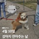 그냥 평생 무례하면 안되나