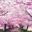 피치랑부천중동점 이미지