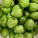 칠봉산 농장 이미지