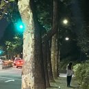 썸띵어바웃커피 이미지