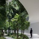 미래하우스 이미지