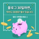 블로그 30일하면, 적어도 이만큼은 벌 수 있습니다. 이미지