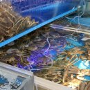 한월횟집 이미지